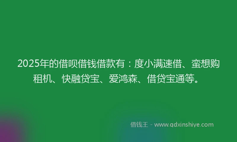 2025年的借呗借钱借款有:度小满速借、蛮想购租机、快融贷宝、爱鸿森、借贷宝通等。