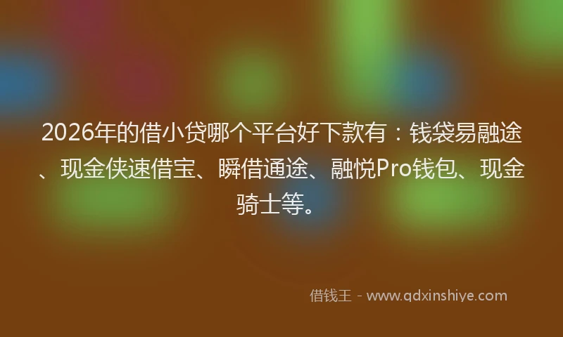2026年的借小贷哪个平台好下款有:钱袋易融途、现金侠速借宝、瞬借通途、融悦Pro钱包、现金骑士等。