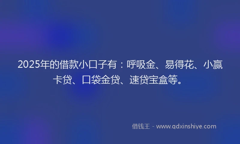 2025年的借款小口子有：呼吸金、易得花、小赢卡贷、口袋金贷、速贷宝盒等。