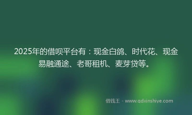2025年的借呗平台有：现金白鸽、时代花、现金易融通途、老哥租机、麦芽贷等。
