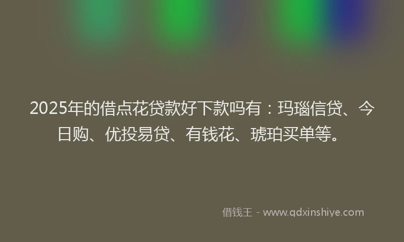 2025年的借点花贷款好下款吗有：玛瑙信贷、今日购、优投易贷、有钱花、琥珀买单等。