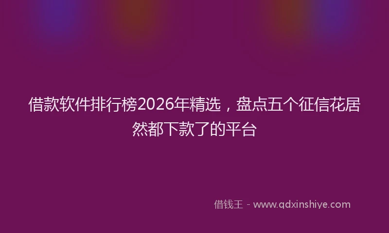 借款软件排行榜2026年精选,盘点五个征信花居然都下款了的平台