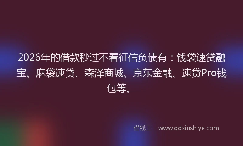 2026年的借款秒过不看征信负债有：钱袋速贷融宝、麻袋速贷、森泽商城、京东金融、速贷Pro钱包等。