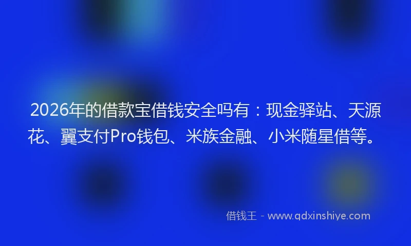 2026年的借款宝借钱安全吗有：现金驿站、天源花、翼支付Pro钱包、米族金融、小米随星借等。