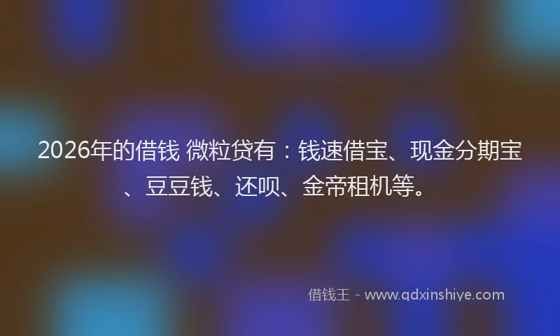 2026年的借钱 微粒贷有：钱速借宝、现金分期宝、豆豆钱、还呗、金帝租机等。