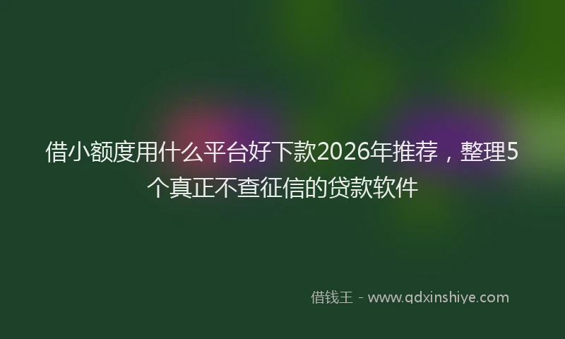 借小额度用什么平台好下款2026年推荐,整理5个真正不查征信的贷款软件