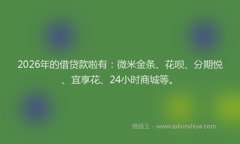 2026年的借贷款啦有：微米金条、花呗、分期悦、宜享花、24小时商城等。