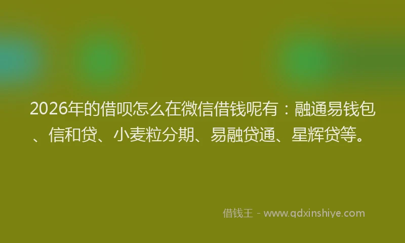 2026年的借呗怎么在微信借钱呢有:融通易钱包、信和贷、小麦粒分期、易融贷通、星辉贷等。