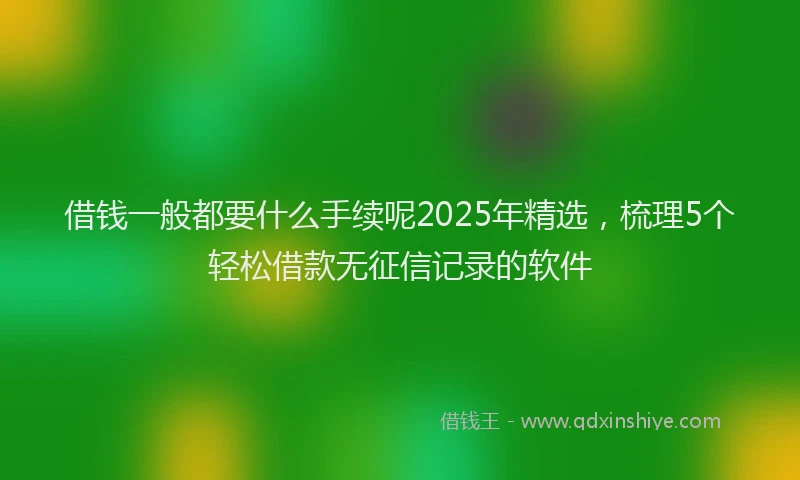 借钱一般都要什么手续呢2025年精选，梳理5个轻松借款无征信记录的软件