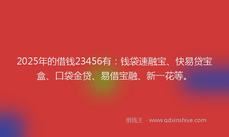 2025年的借钱23456有：钱袋速融宝、快易贷宝盒、口袋金贷、易借宝融、新一花等。