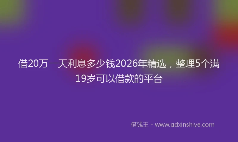 借20万一天利息多少钱2026年精选，整理5个满19岁可以借款的平台