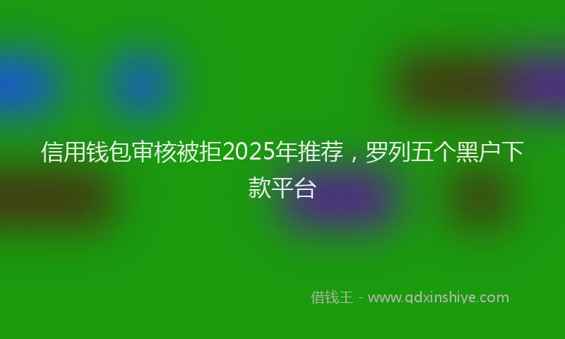 信用钱包审核被拒2025年推荐，罗列五个黑户下款平台