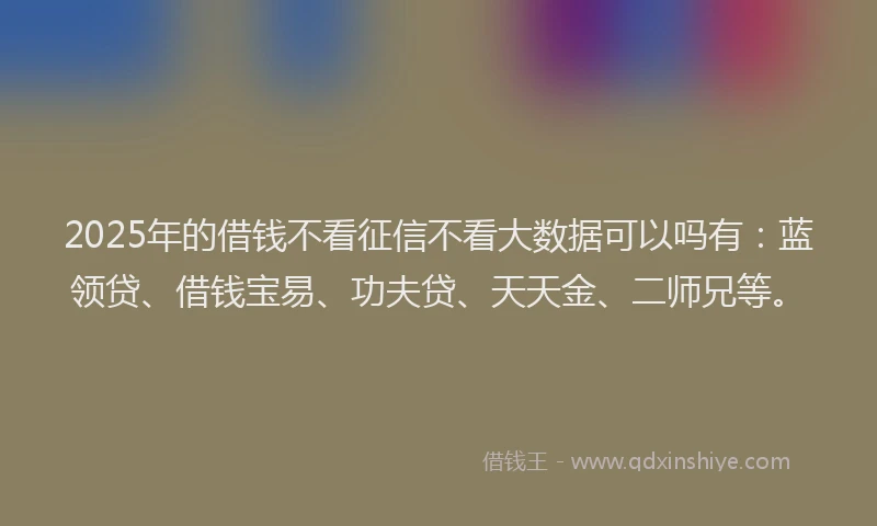 2025年的借钱不看征信不看大数据可以吗有：蓝领贷、借钱宝易、功夫贷、天天金、二师兄等。