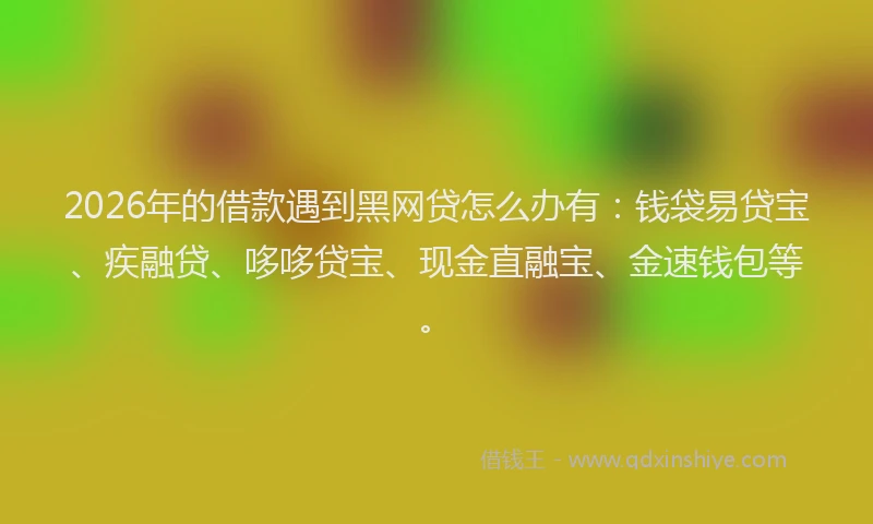 2026年的借款遇到黑网贷怎么办有：钱袋易贷宝、疾融贷、哆哆贷宝、现金直融宝、金速钱包等。