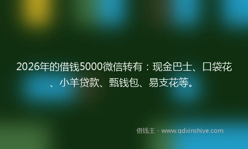 2026年的借钱5000微信转有：现金巴士、口袋花、小羊贷款、甄钱包、易支花等。
