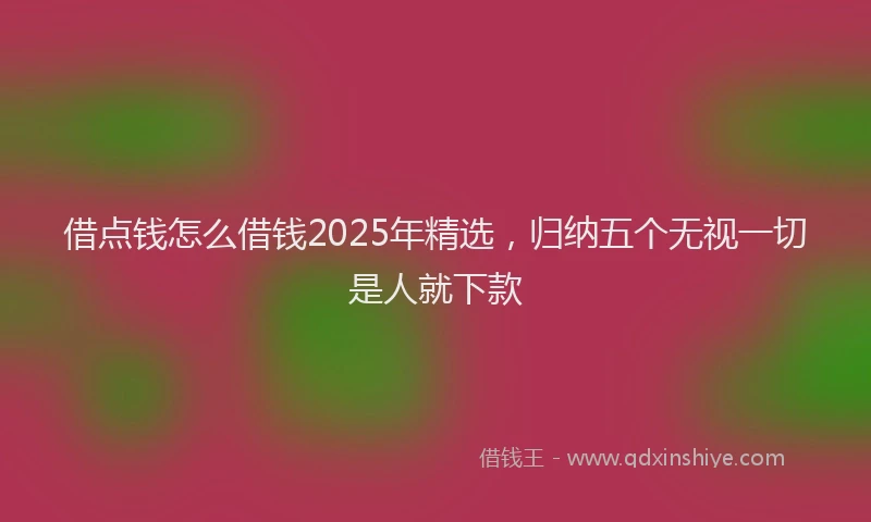 借点钱怎么借钱2025年精选，归纳五个无视一切是人就下款