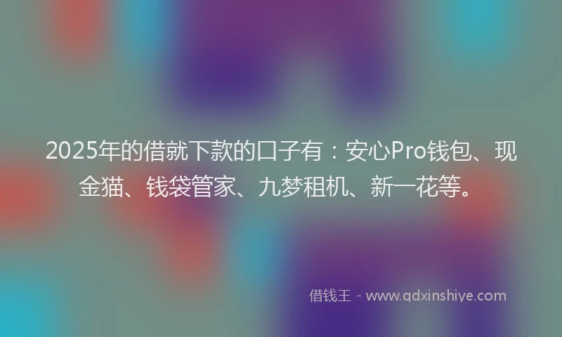 2025年的借就下款的口子有:安心Pro钱包、现金猫、钱袋管家、九梦租机、新一花等。