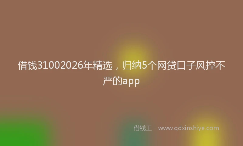 借钱31002026年精选，归纳5个网贷口子风控不严的app