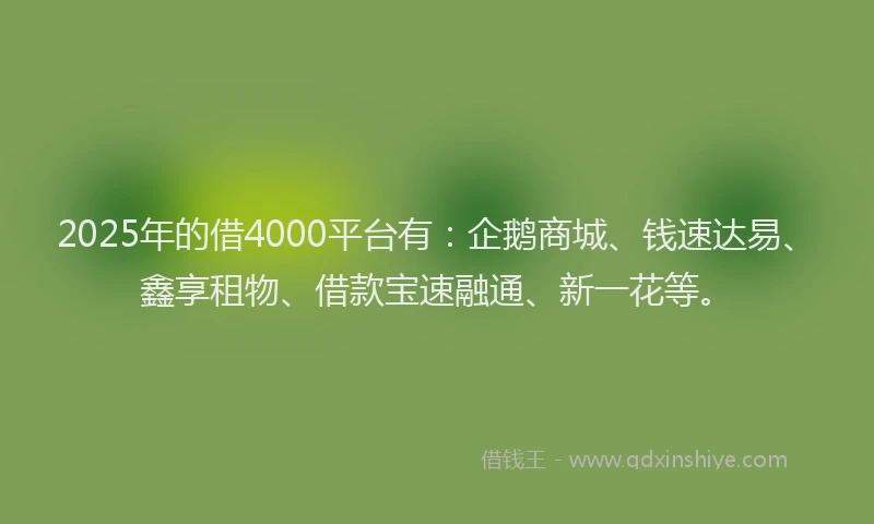 2025年的借4000平台有：企鹅商城、钱速达易、鑫享租物、借款宝速融通、新一花等。