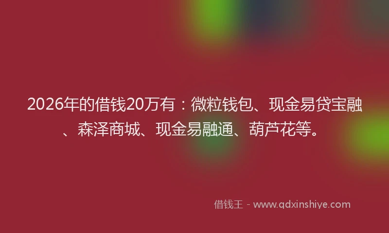 2026年的借钱20万有：微粒钱包、现金易贷宝融、森泽商城、现金易融通、葫芦花等。