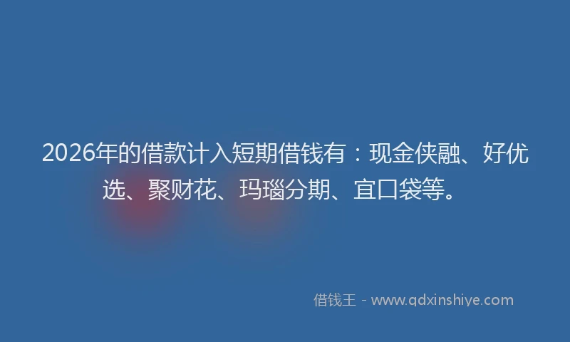 2026年的借款计入短期借钱有：现金侠融、好优选、聚财花、玛瑙分期、宜口袋等。
