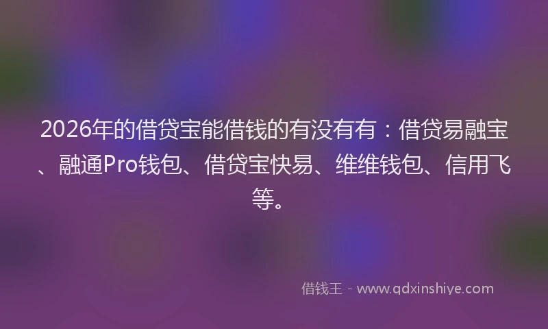 2026年的借贷宝能借钱的有没有有:借贷易融宝、融通Pro钱包、借贷宝快易、维维钱包、信用飞等。