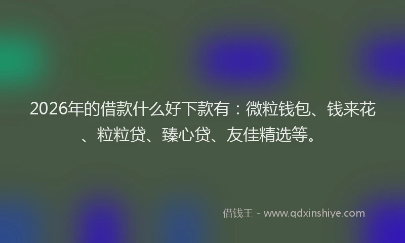 2026年的借款什么好下款有：微粒钱包、钱来花、粒粒贷、臻心贷、友佳精选等。