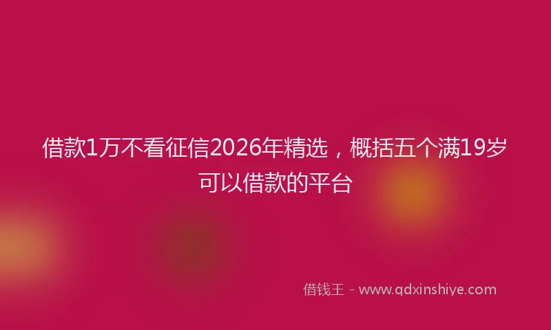 借款1万不看征信2026年精选，概括五个满19岁可以借款的平台