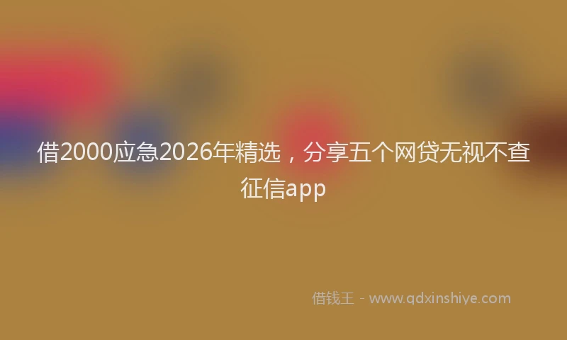 借2000应急2026年精选,分享五个网贷无视不查征信app