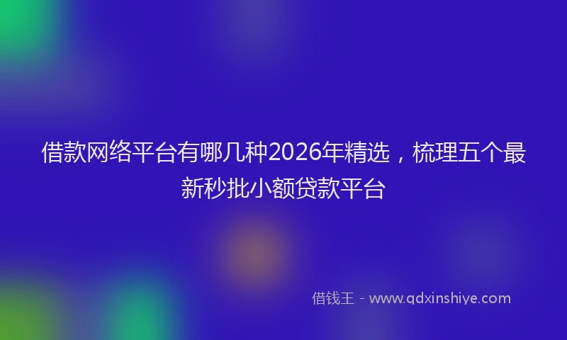 借款网络平台有哪几种2026年精选，梳理五个最新秒批小额贷款平台