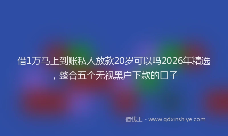 借1万马上到账私人放款20岁可以吗2026年精选，整合五个无视黑户下款的口子