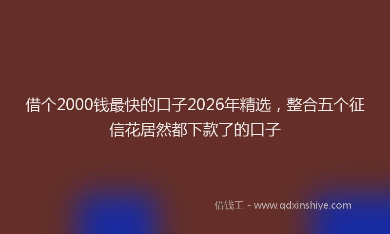 借个2000钱最快的口子2026年精选，整合五个征信花居然都下款了的口子