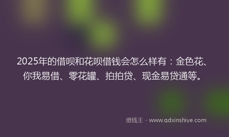 2025年的借呗和花呗借钱会怎么样有:金色花、你我易借、零花罐、拍拍贷、现金易贷通等。