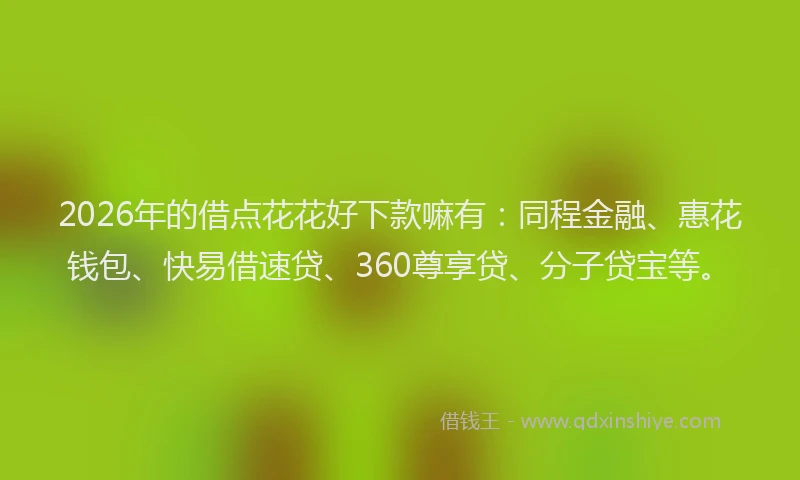 2026年的借点花花好下款嘛有：同程金融、惠花钱包、快易借速贷、360尊享贷、分子贷宝等。