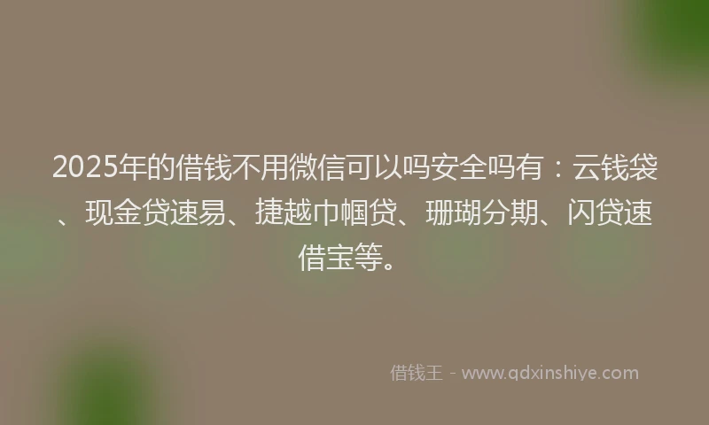 2025年的借钱不用微信可以吗安全吗有:云钱袋、现金贷速易、捷越巾帼贷、珊瑚分期、闪贷速借宝等。