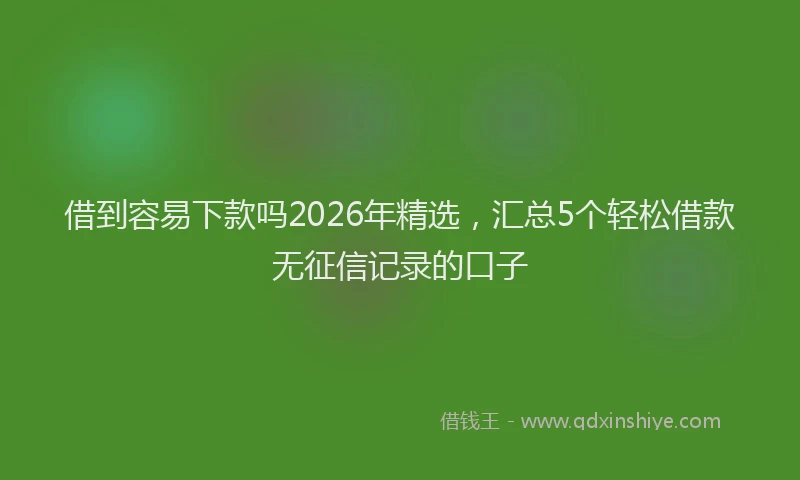 借到容易下款吗2026年精选，汇总5个轻松借款无征信记录的口子