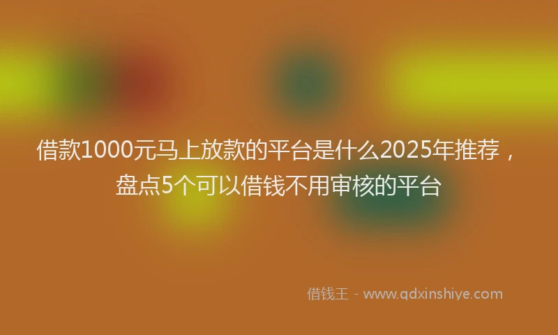 借款1000元马上放款的平台是什么2025年推荐，盘点5个可以借钱不用审核的平台