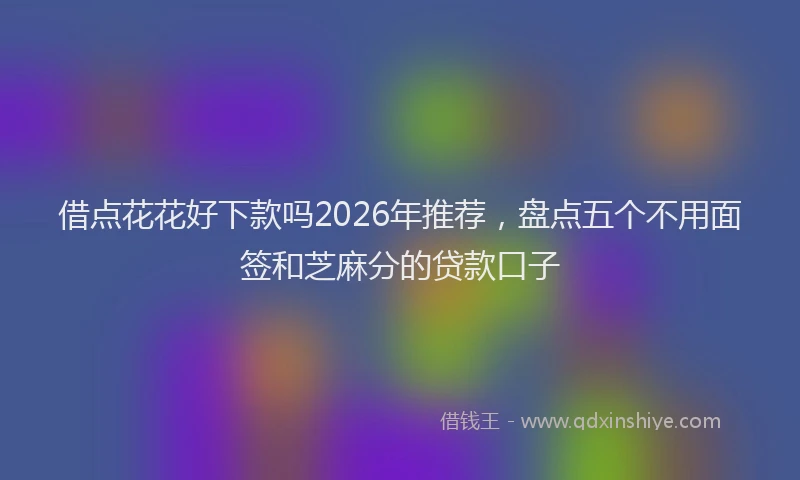 借点花花好下款吗2026年推荐,盘点五个不用面签和芝麻分的贷款口子