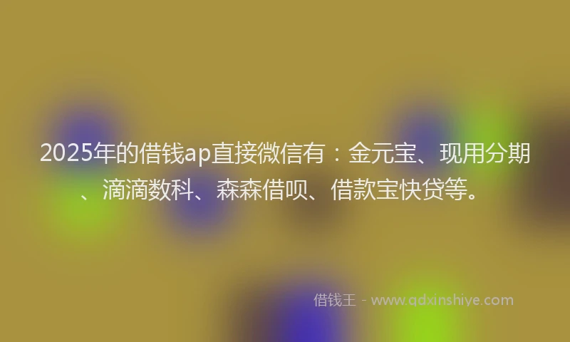 2025年的借钱ap直接微信有：金元宝、现用分期、滴滴数科、森森借呗、借款宝快贷等。