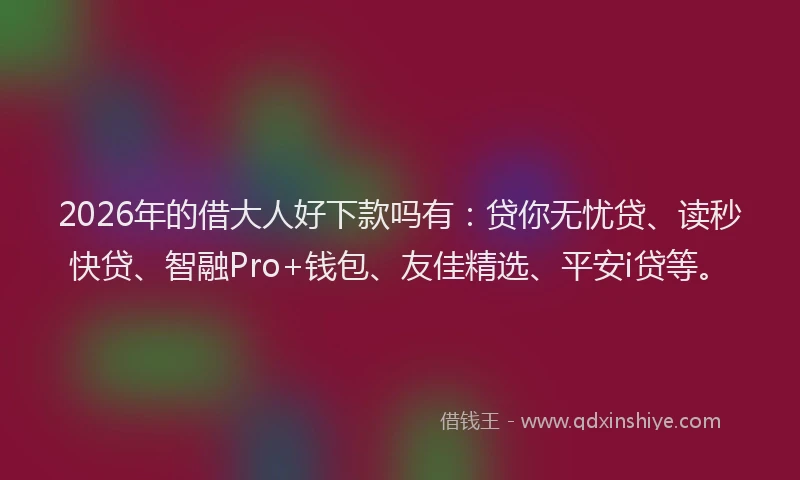 2026年的借大人好下款吗有：贷你无忧贷、读秒快贷、智融Pro+钱包、友佳精选、平安i贷等。