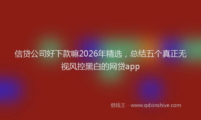 信贷公司好下款嘛2026年精选，总结五个真正无视风控黑白的网贷app