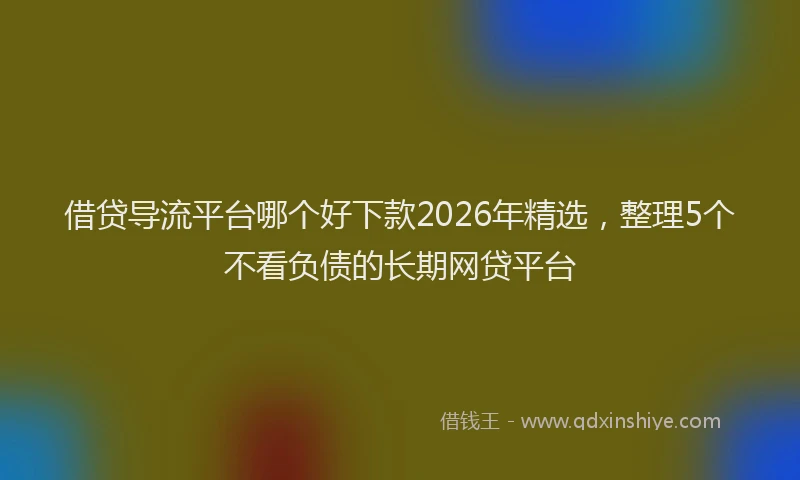 借贷导流平台哪个好下款2026年精选，整理5个不看负债的长期网贷平台