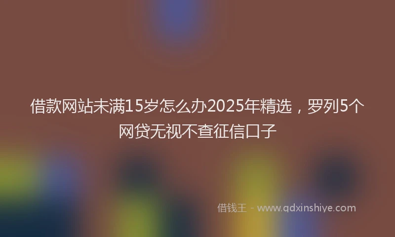 借款网站未满15岁怎么办2025年精选,罗列5个网贷无视不查征信口子