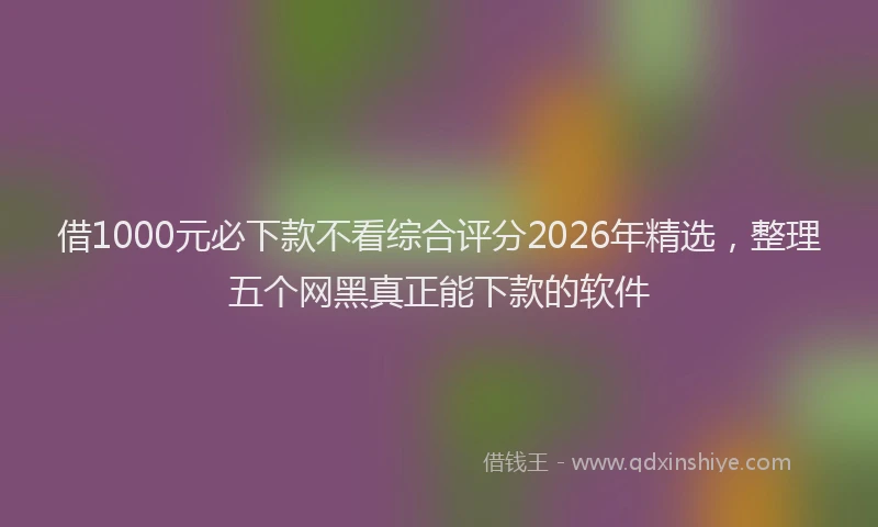 借1000元必下款不看综合评分2026年精选，整理五个网黑真正能下款的软件