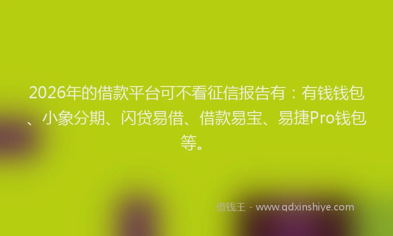 2026年的借款平台可不看征信报告有：有钱钱包、小象分期、闪贷易借、借款易宝、易捷Pro钱包等。