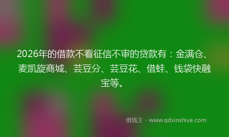 2026年的借款不看征信不审的贷款有：金满仓、麦凯旋商城、芸豆分、芸豆花、借蛙、钱袋快融宝等。