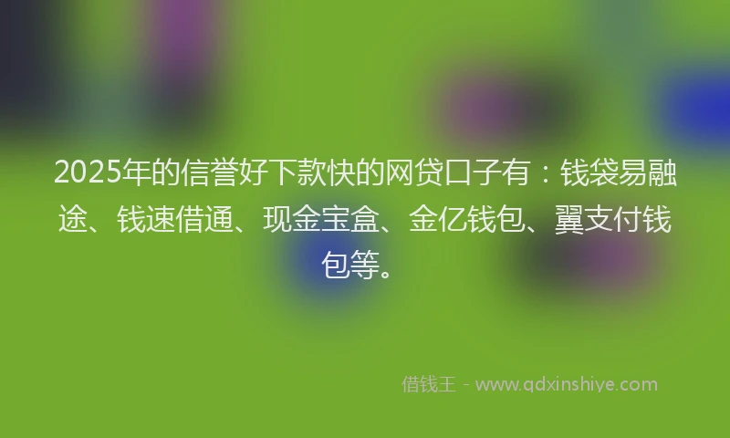 2025年的信誉好下款快的网贷口子有：钱袋易融途、钱速借通、现金宝盒、金亿钱包、翼支付钱包等。