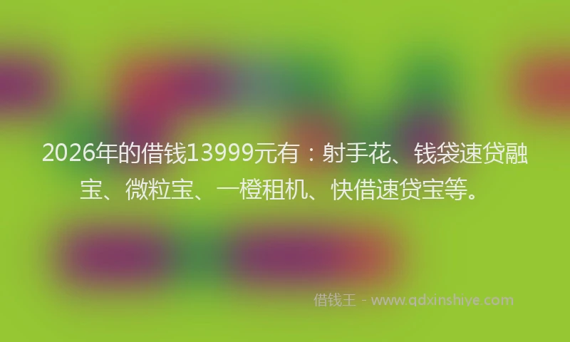 2026年的借钱13999元有：射手花、钱袋速贷融宝、微粒宝、一橙租机、快借速贷宝等。