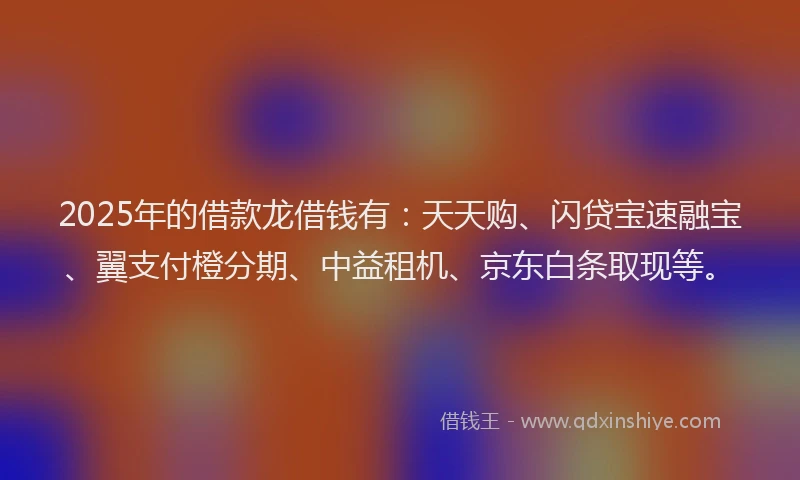 2025年的借款龙借钱有：天天购、闪贷宝速融宝、翼支付橙分期、中益租机、京东白条取现等。