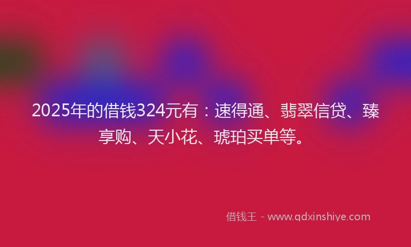2025年的借钱324元有：速得通、翡翠信贷、臻享购、天小花、琥珀买单等。